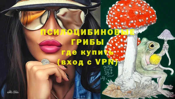 ГАЛЛЮЦИНОГЕННЫЕ ГРИБЫ Абдулино