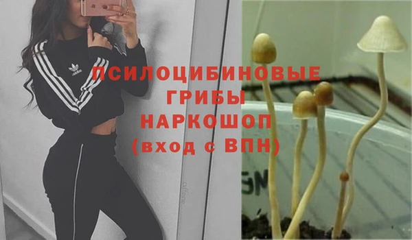 трава Алзамай