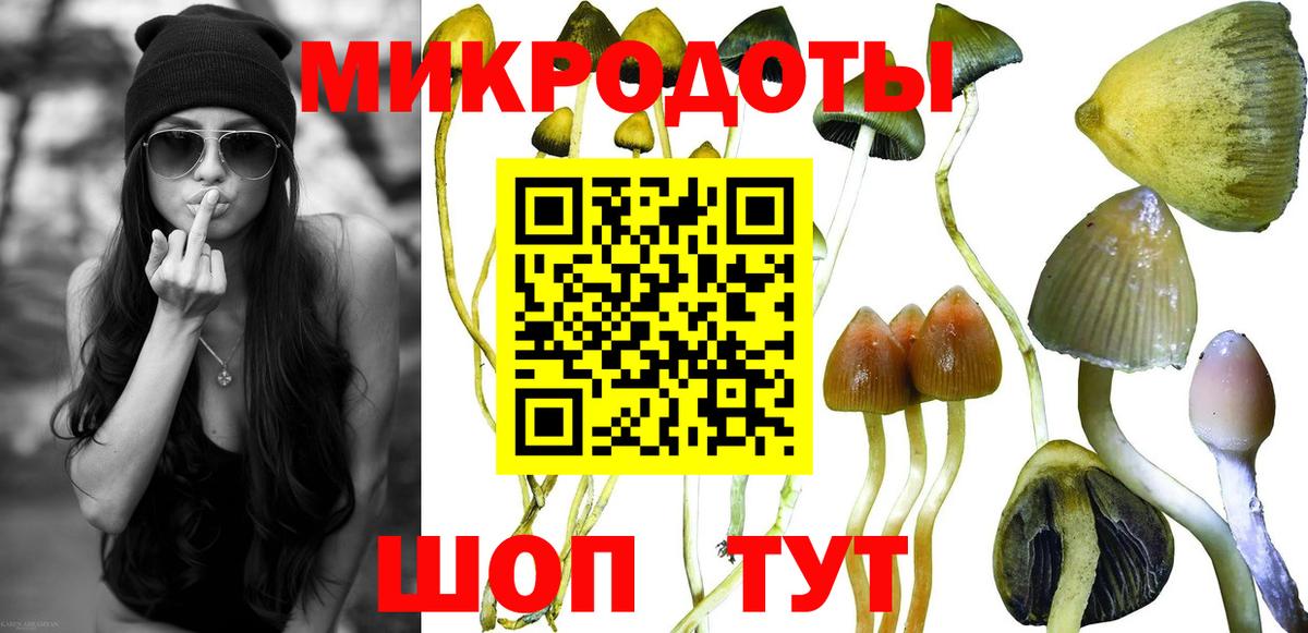 Псилоцибиновые грибы Magic Shrooms  Псилоцибиновые грибы Psilocybe  Вход с VPN  купить наркотик  Энгельс 
